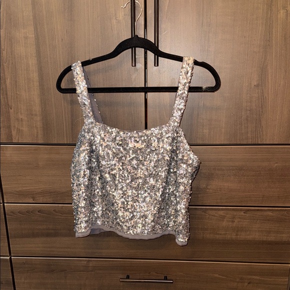 Abercrombie and Fitch Silver Sequin Crop Tank - Picture 1 of 6